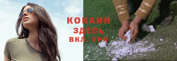 гидропоника Горняк