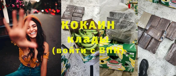 гидропоника Горняк