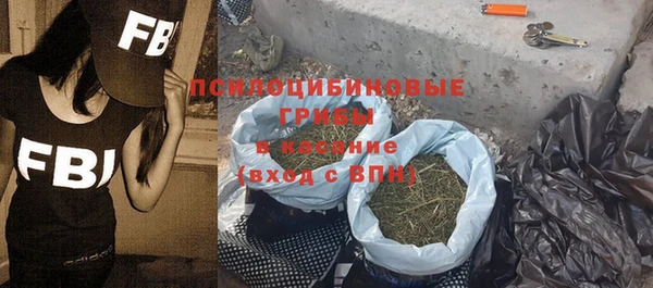 гидропоника Горняк