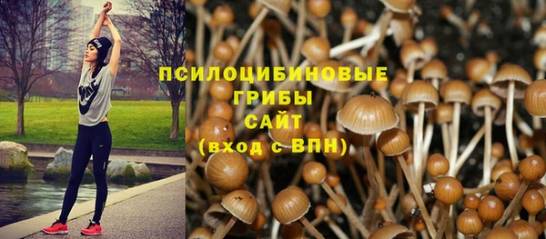 гидропоника Горняк