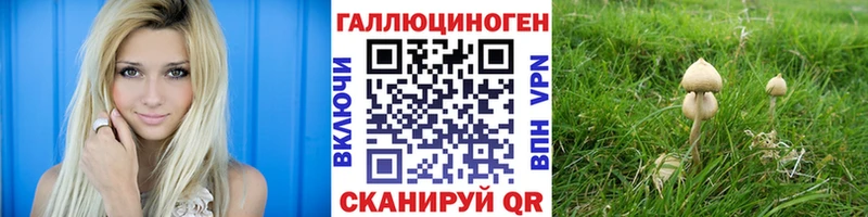 Псилоцибиновые грибы мицелий  Купить где  Лыткарино 